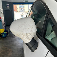 limpieza de mosquitos después de un viaje 