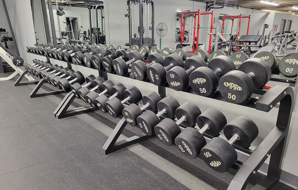 dumbells with rack