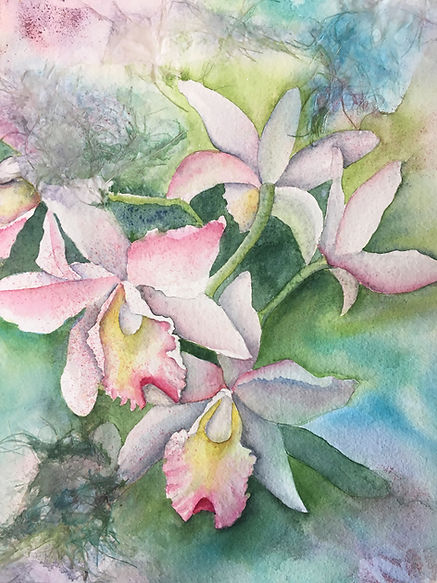 Botanical Beauty.jpg