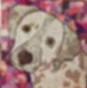 fullsizeoutput_10c4.jpeg