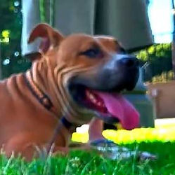 Examples of Social Media Video Production Services