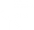 LOGO CILS