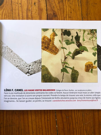 Catalogue d’expo - Les itinerrances des poissons rouges
