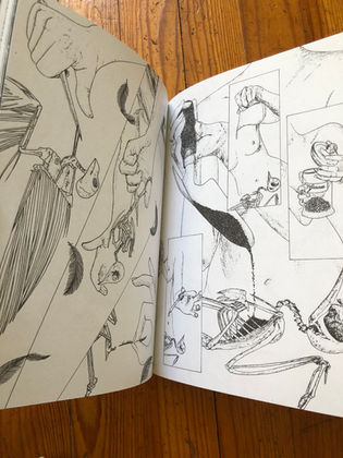Freakshow comix 5 Ladybird