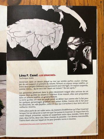 Catalogue d’expo - Les itinerrances des poissons rouges