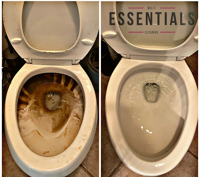 Before and After Toilet Clean