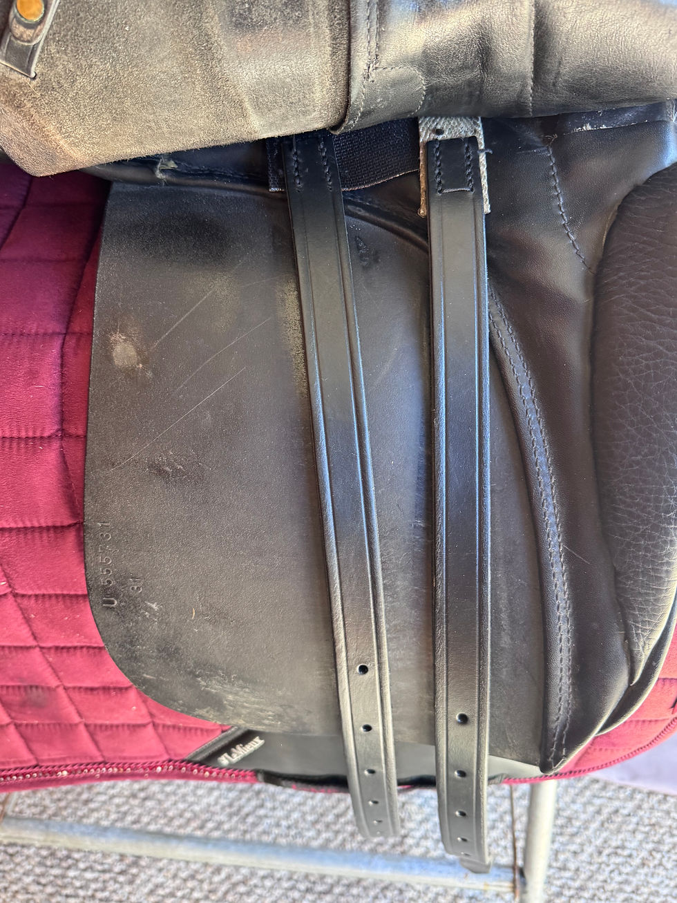 Thumbnail: Stubben Maestoso 17.5" 31cm Dressage Saddle