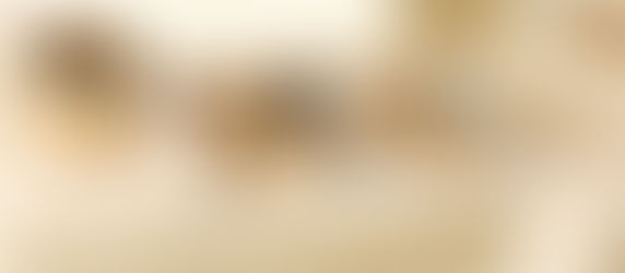 チャーム付きのトレー