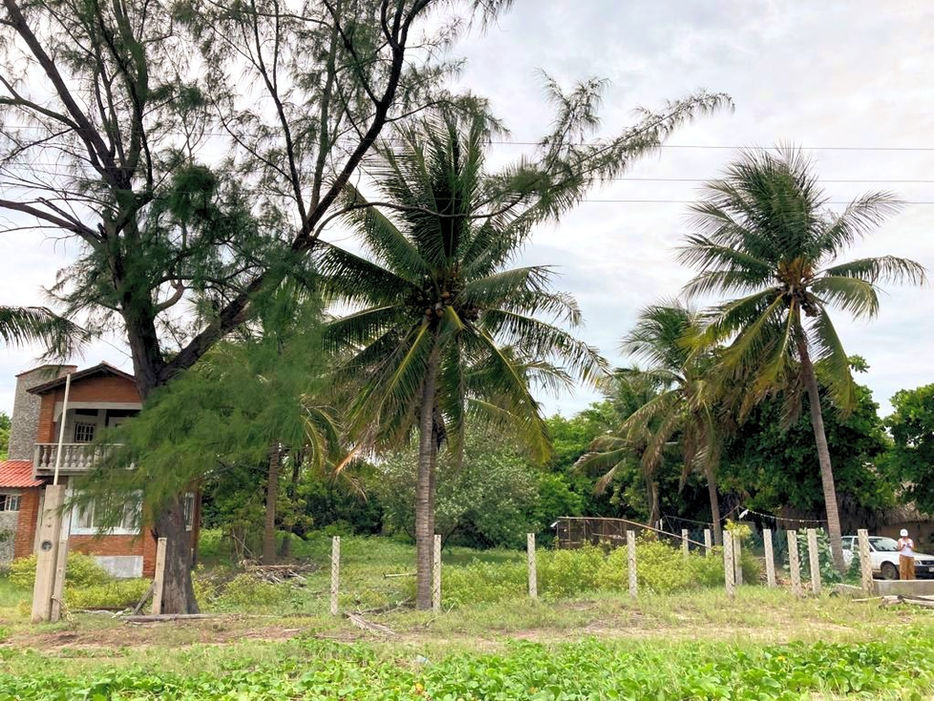 Terreno en venta a orilla del Mar en Playa Cangrejo en corredor Huatulco - Salina Cruz..
Construye tu hogar frente al Mar.