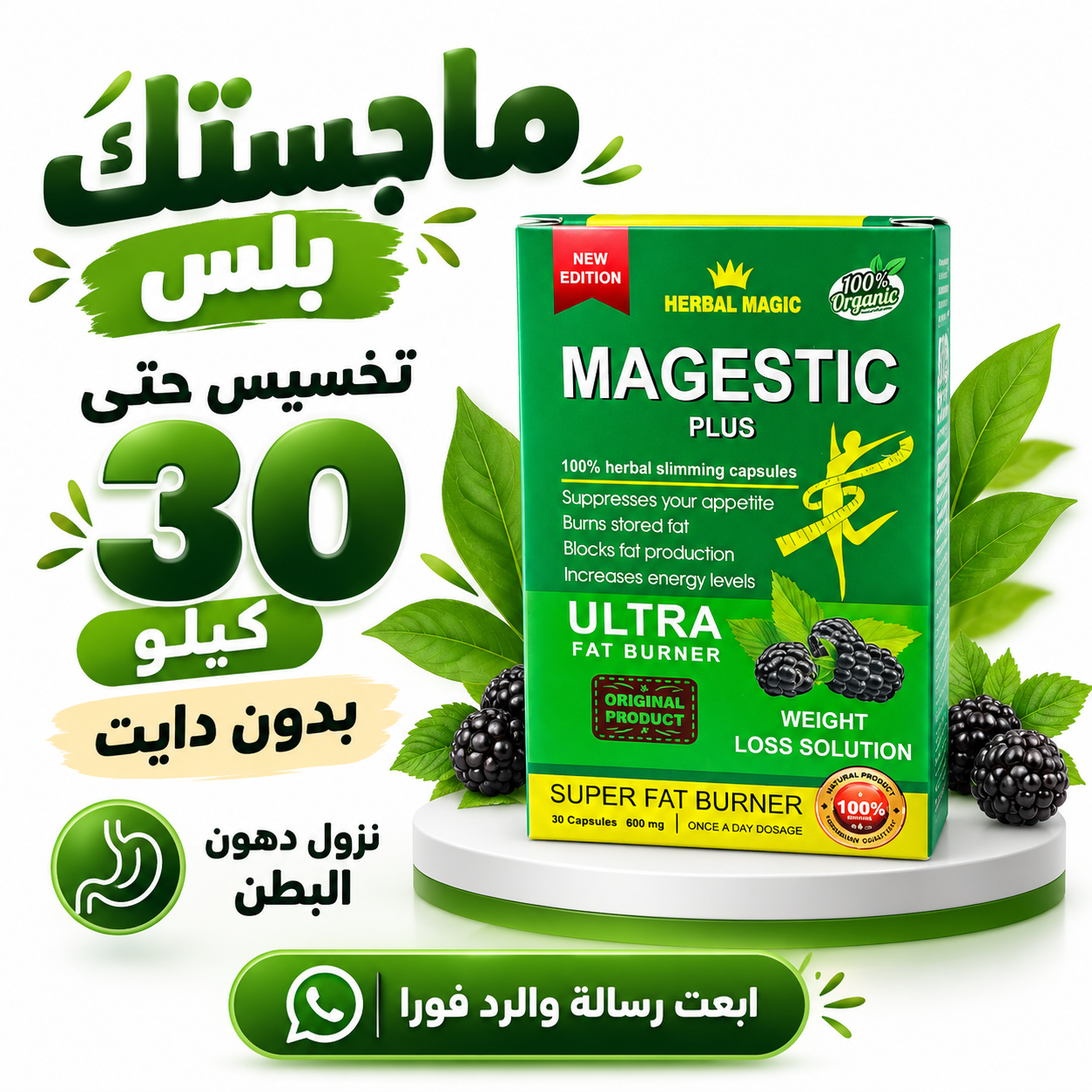 صورة منتج الماجستيك
