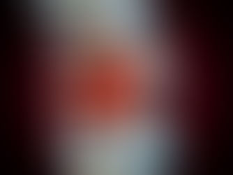 Disc Bulges & Herniations: Natural Healing and Nervous System Care in Indianapolis