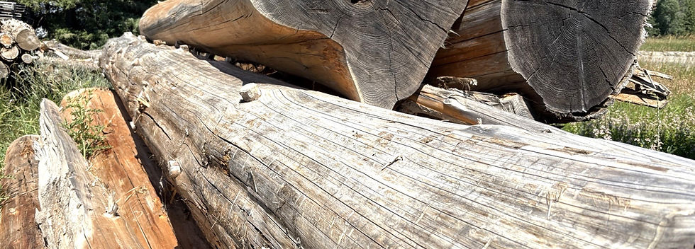 firewood logs