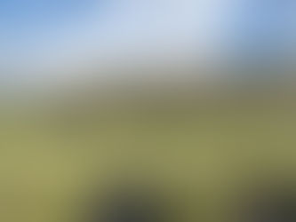 FP del Olivar en Jaén