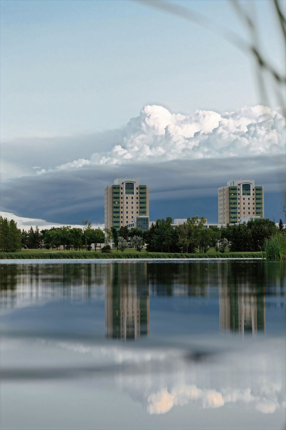 a body of water with buildings and trees around it_edited.jpg