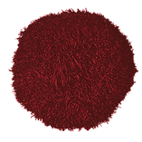 UPSCALED2CROPagainIMG_20240506_153714801-cgi-1x(1)_edited(1)(7).png
