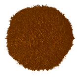 UPSCALED2CROPagainIMG_20240506_153714801-cgi-1x(1)_edited(1)(6)(2).png