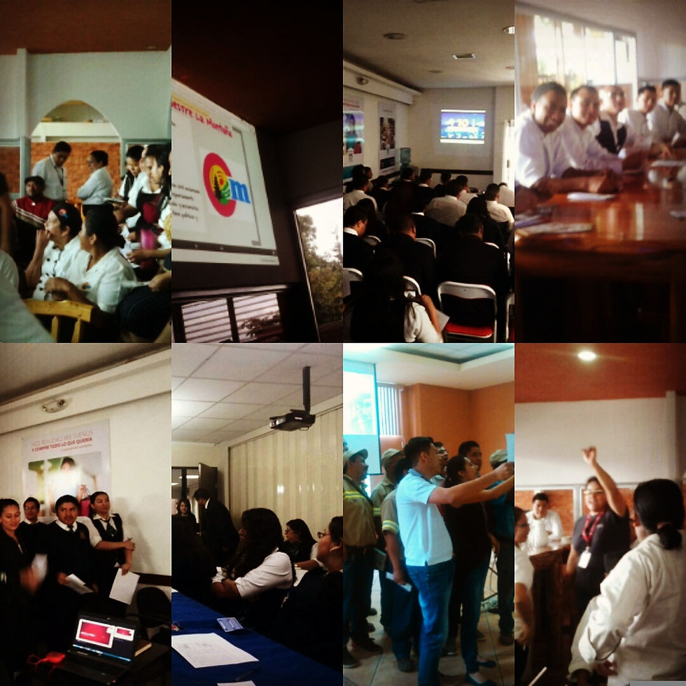 IMG_20170531_162203_309