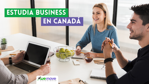 Estudia Business en Canadá