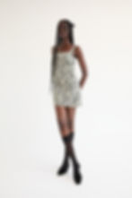 Thumbnail: Sapphira Zebra Mini Dress