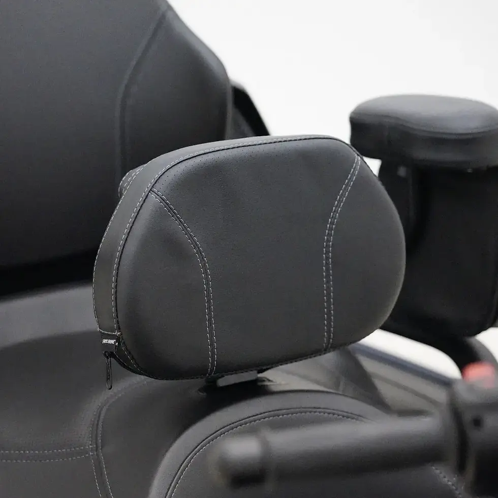 Thumbnail: Platinum Grande Backrest, Spyder RT2020 - Present