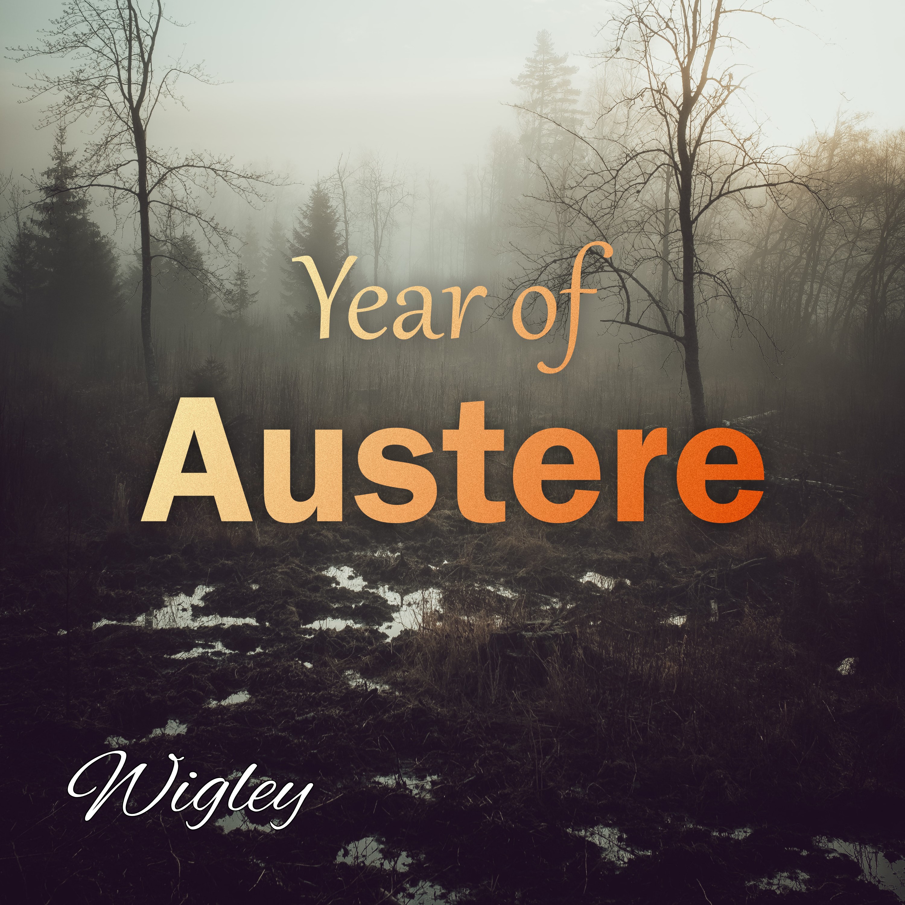 Year of Austere album cover