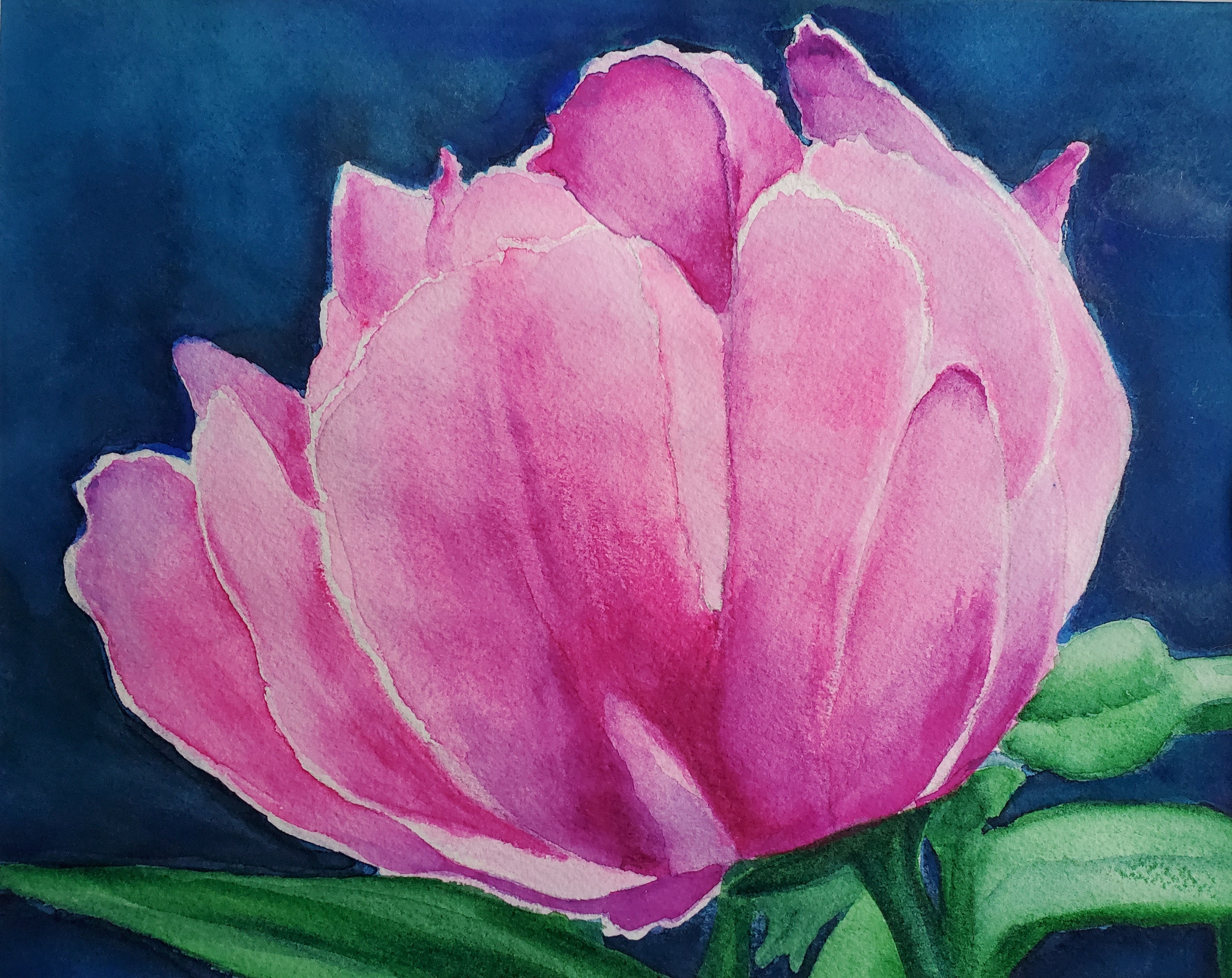 PINK PEONY