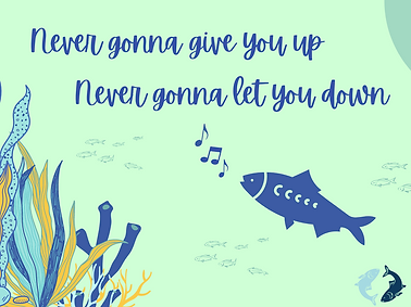 Never gonna let the shad down TWITTER (1).png