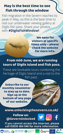 Flyer for tourist info centre - 2 back.png