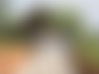 7,000 visitors, and still not Alton Towers!