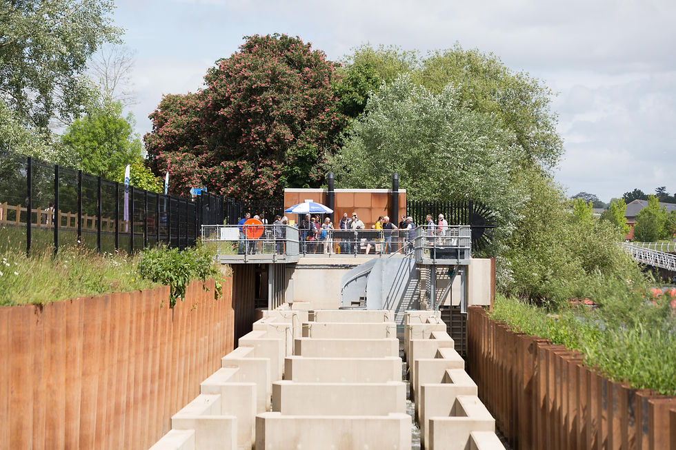 7,000 visitors, and still not Alton Towers!