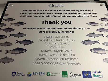 A new plaque to celebrate our volunteers