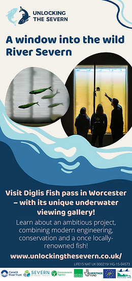 Flyer for tourist info centre - 1 front.png