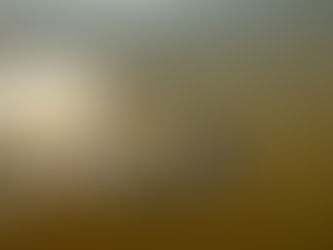 Success! Shad DNA evidence proves fish are returning to historic spawning grounds