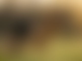 How to Navigate a Pain Flare After Success with PRT