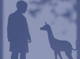 shadow of human and animal_edited.jpg