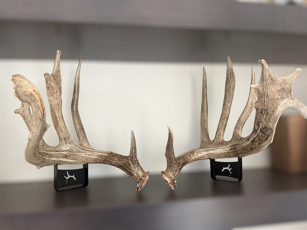 Thumbnail: Shed Display