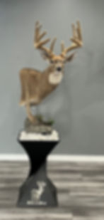 Thumbnail:  Twisted Pedestal 