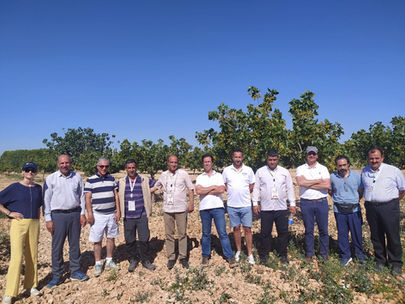 PistachoPro publica los detalles de la visita a España de la IPA organizada por el CEP: