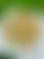 Vegan Tomato Bacon Ranch Pasta Salad