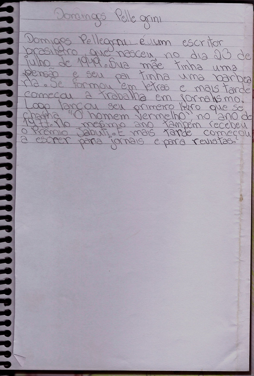 Orelha do livro