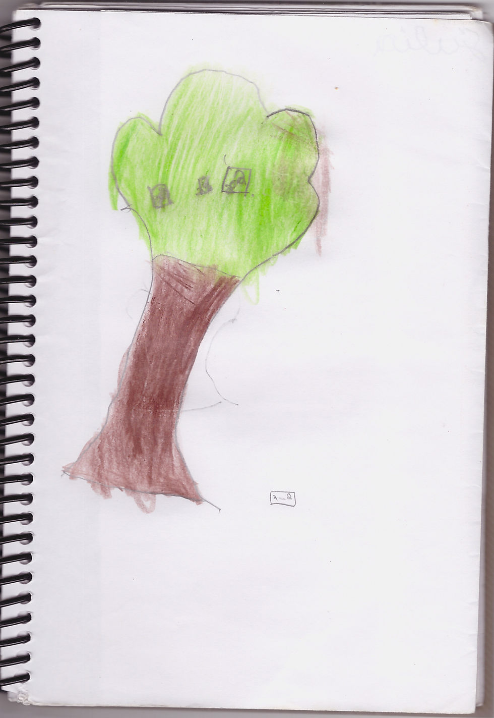 Capa de livro produzida por aluno