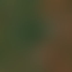 Day 446: Ukraine announces the "first success" of its offensive in the vicinity of Bakhmut