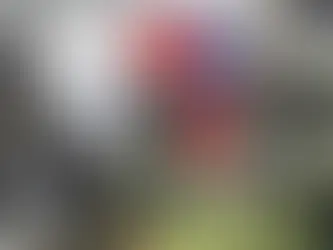 Taiwan allows Coast Guard officers to take decision to fire weapons