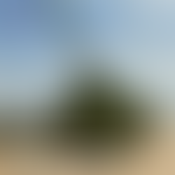 Serbian 155-mm self-propelled gun NORA B-52 M21