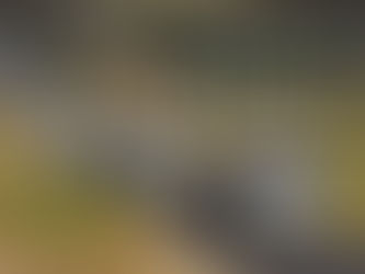 Report of the units involved within the framework of the Military Exercise Conquerors of Khaybar