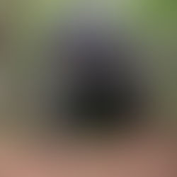 Full list of the U.S. Security Assistance to Ukraine