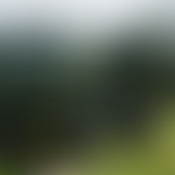 U.S. sends another $200 million in weapons to Ukraine.