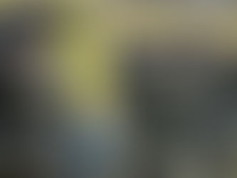 The Pentagon and the Polish defense company Mesko held successful negotiations