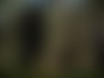 NATO's Dragon-21 Military exercises