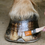 Miniature : Passion Hoof Protect (graisse)